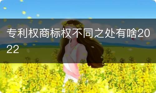 专利权商标权不同之处有啥2022