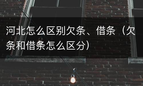 河北怎么区别欠条、借条（欠条和借条怎么区分）
