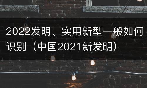 2022发明、实用新型一般如何识别（中国2021新发明）