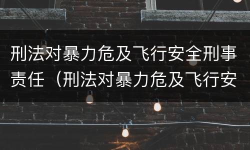 刑法对暴力危及飞行安全刑事责任（刑法对暴力危及飞行安全刑事责任的定义）