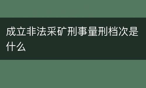 成立非法采矿刑事量刑档次是什么