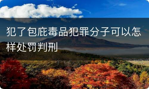 犯了包庇毒品犯罪分子可以怎样处罚判刑