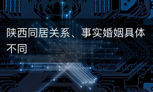 陕西同居关系、事实婚姻具体不同
