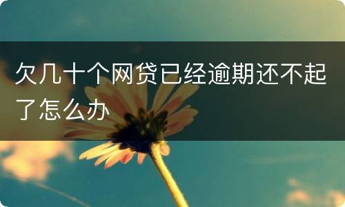 欠几十个网贷已经逾期还不起了怎么办