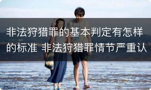 非法狩猎罪的基本判定有怎样的标准 非法狩猎罪情节严重认定