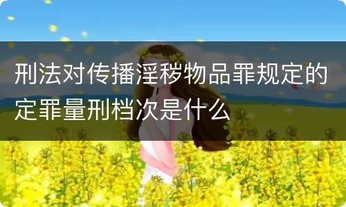 刑法对传播淫秽物品罪规定的定罪量刑档次是什么