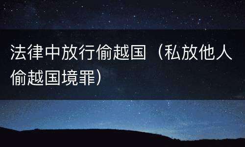 法律中放行偷越国（私放他人偷越国境罪）