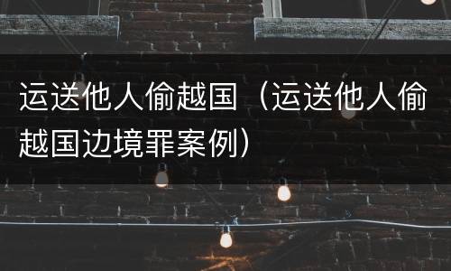 运送他人偷越国（运送他人偷越国边境罪案例）