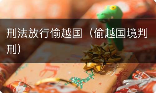 刑法放行偷越国（偷越国境判刑）