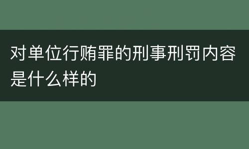 对单位行贿罪的刑事刑罚内容是什么样的
