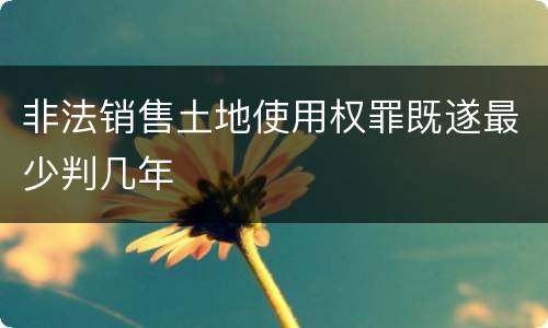 非法销售土地使用权罪既遂最少判几年