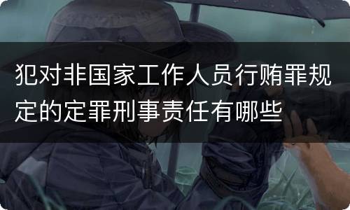 犯对非国家工作人员行贿罪规定的定罪刑事责任有哪些