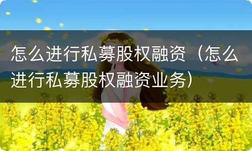 怎么进行私募股权融资（怎么进行私募股权融资业务）