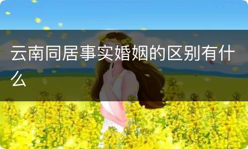 云南同居事实婚姻的区别有什么