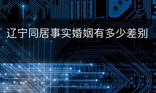 辽宁同居事实婚姻有多少差别