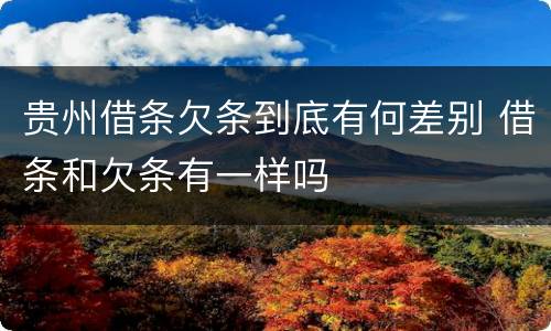 贵州借条欠条到底有何差别 借条和欠条有一样吗