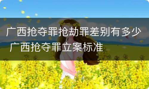 广西抢夺罪抢劫罪差别有多少 广西抢夺罪立案标准