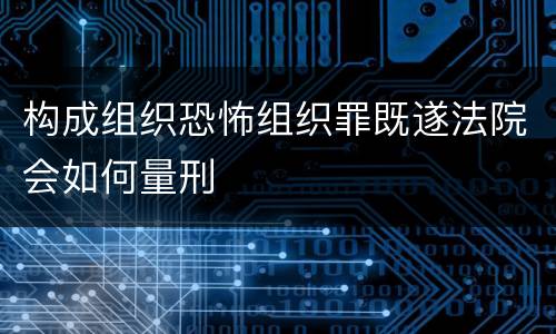 构成组织恐怖组织罪既遂法院会如何量刑