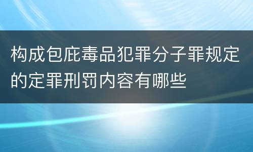 构成包庇毒品犯罪分子罪规定的定罪刑罚内容有哪些