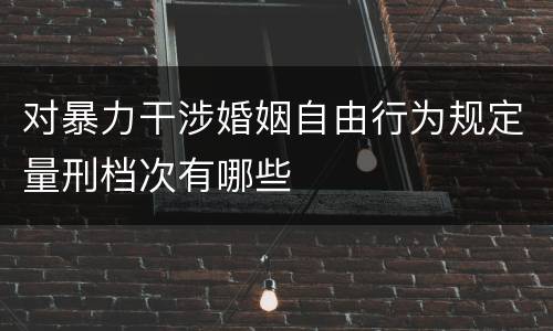 对暴力干涉婚姻自由行为规定量刑档次有哪些