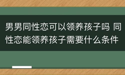 男男同性恋可以领养孩子吗 同性恋能领养孩子需要什么条件