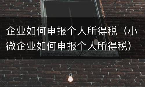 企业如何申报个人所得税（小微企业如何申报个人所得税）