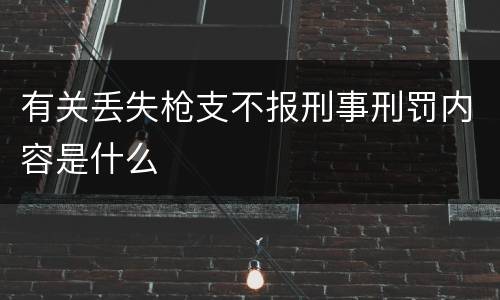 有关丢失枪支不报刑事刑罚内容是什么