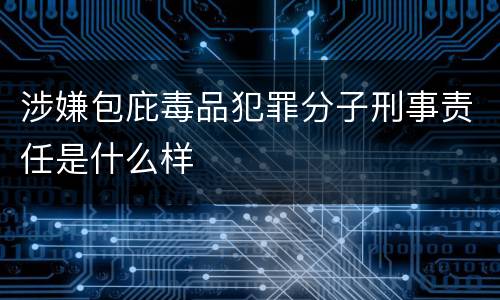 涉嫌包庇毒品犯罪分子刑事责任是什么样