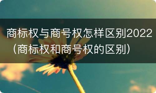 商标权与商号权怎样区别2022（商标权和商号权的区别）