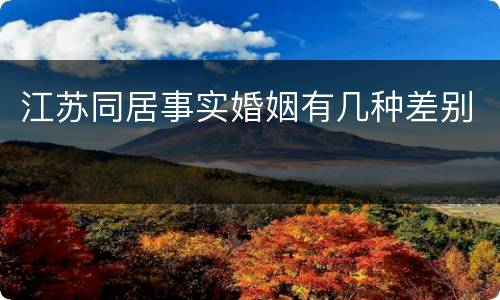 江苏同居事实婚姻有几种差别