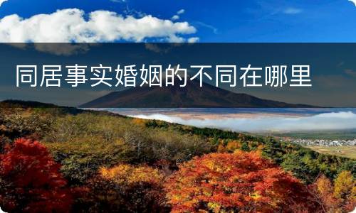 同居事实婚姻的不同在哪里