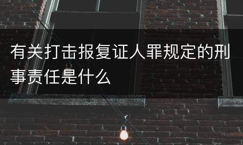 有关打击报复证人罪规定的刑事责任是什么