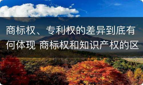 商标权、专利权的差异到底有何体现 商标权和知识产权的区别