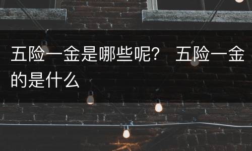 五险一金是哪些呢？ 五险一金的是什么