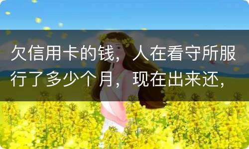 欠信用卡的钱，人在看守所服行了多少个月，现在出来还，还需要付利率吗。