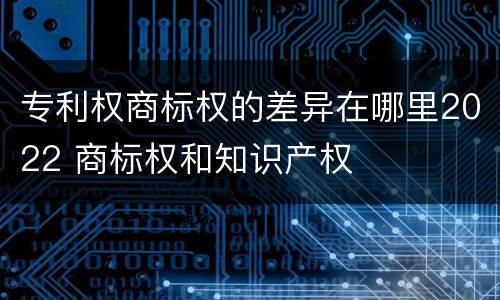 专利权商标权的差异在哪里2022 商标权和知识产权
