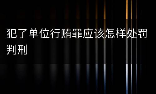 犯了单位行贿罪应该怎样处罚判刑