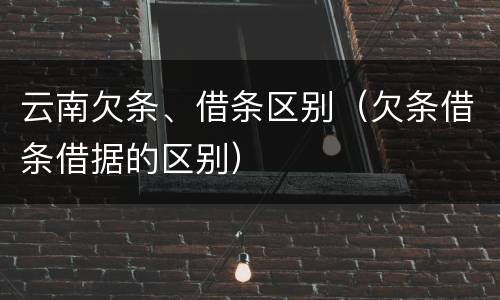 云南欠条、借条区别（欠条借条借据的区别）