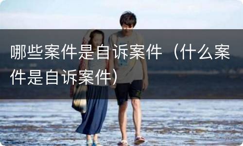 哪些案件是自诉案件（什么案件是自诉案件）