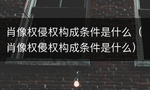 肖像权侵权构成条件是什么（肖像权侵权构成条件是什么）