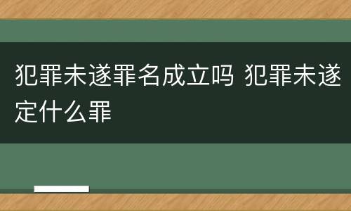 犯罪未遂罪名成立吗 犯罪未遂定什么罪