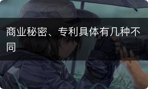 商业秘密、专利具体有几种不同