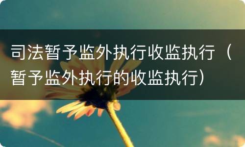 司法暂予监外执行收监执行（暂予监外执行的收监执行）