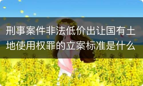 刑事案件非法低价出让国有土地使用权罪的立案标准是什么