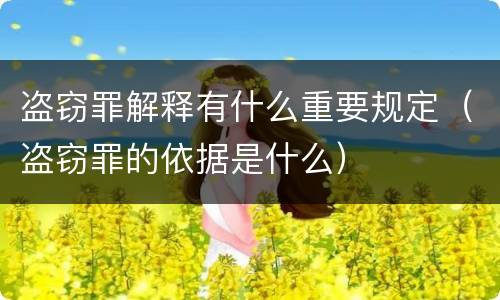 盗窃罪解释有什么重要规定（盗窃罪的依据是什么）