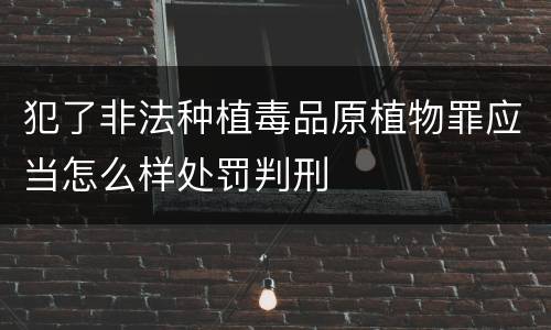 犯了非法种植毒品原植物罪应当怎么样处罚判刑