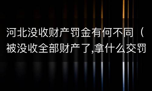 河北没收财产罚金有何不同（被没收全部财产了,拿什么交罚金）