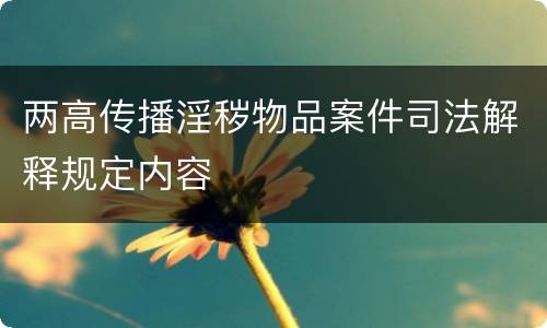 两高传播淫秽物品案件司法解释规定内容