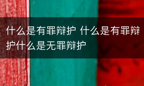 什么是有罪辩护 什么是有罪辩护什么是无罪辩护
