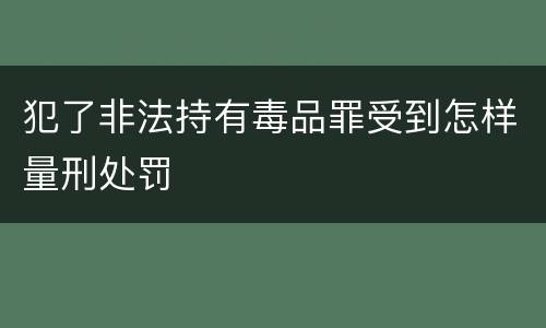 犯了非法持有毒品罪受到怎样量刑处罚
